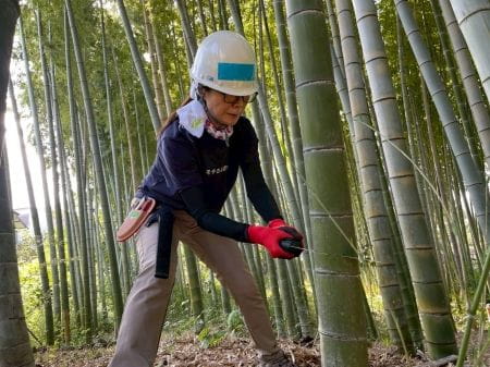 竹伐採本番