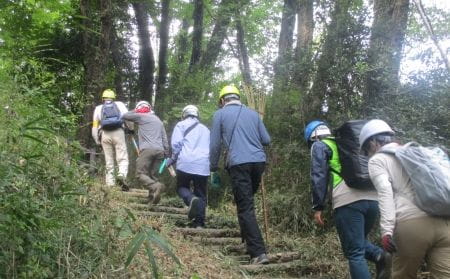 自然観察をしながらの移動