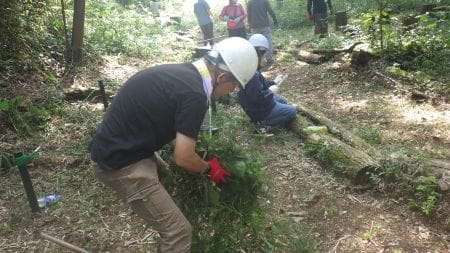 下草刈りの様子その２