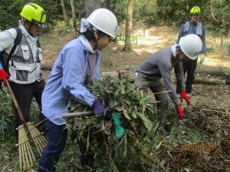 刈った草をまとめる様子