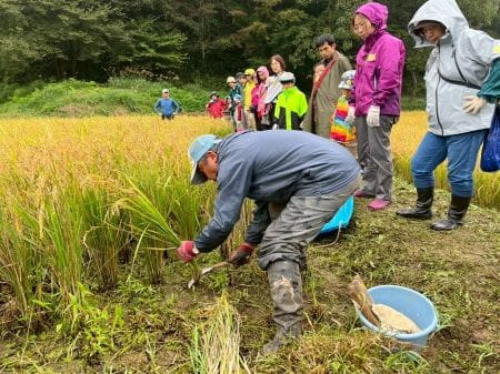 講師の方の鎌の使い方指導