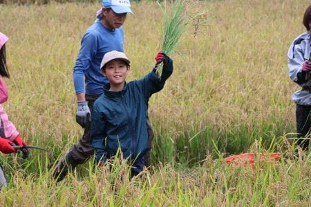 刈った稲を頭上に挙げる少年