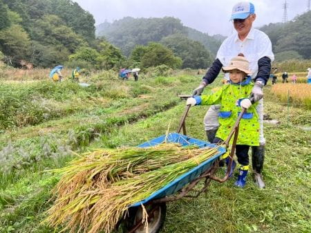 講師の方と一緒に稲を運ぶ子
