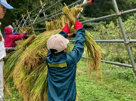 高い位置へはざかけに挑戦する少年