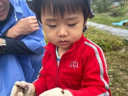 てんとう虫が手にとまる