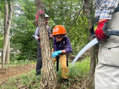 伐採チャレンジ