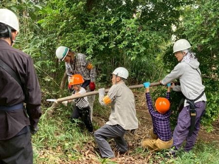 切った木を協力して運ぶ