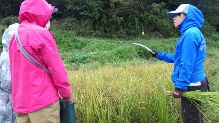 講師の方から鎌の使い方レクチャー