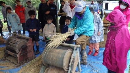 講師の方による脱穀