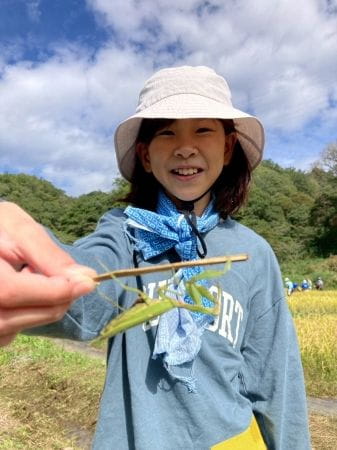 カマキリを見つけた女の子