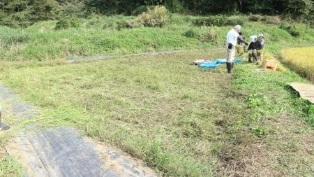 刈り終えた１面の田んぼ