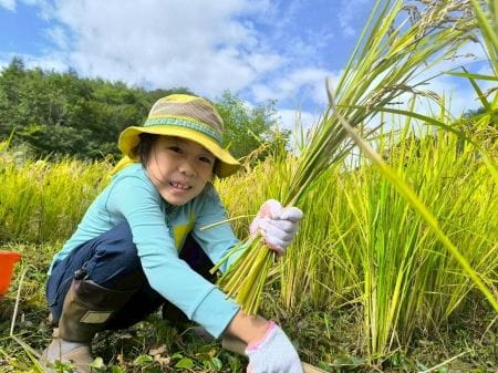 上手に稲刈りできた笑顔の少女