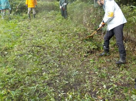 草刈り後の場所の様子