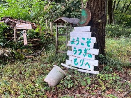 ようこそうつぎのもりへ