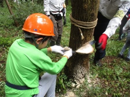 声援の中で木を切る子ども