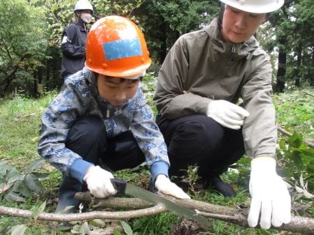 枝払いをする親子