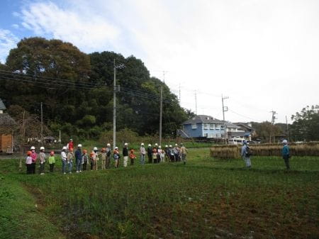 管理された里山