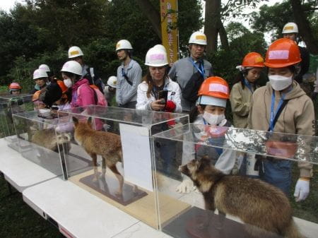 動物の剥製に釘付けの参加者