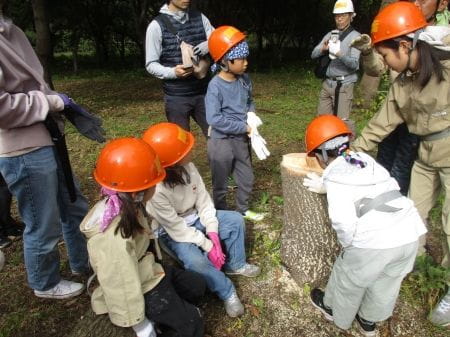 切り株に注目する参加者