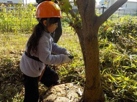 木ノコギリで木を切っていく子ども