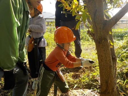 体全体を使って木を切っていく子ども