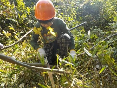 木の枝を短く切る少年