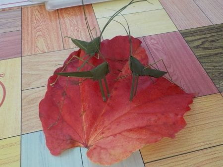 シュロの葉で作ったバッタ