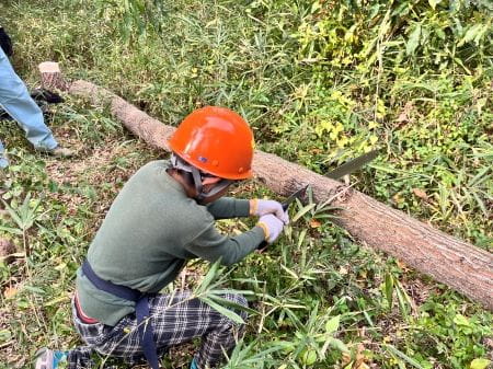 慎重に木を切る少年