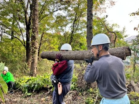 協力して木を運ぶ様子