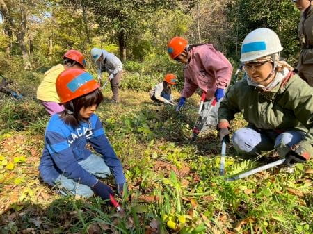 みなで協力して下草刈り