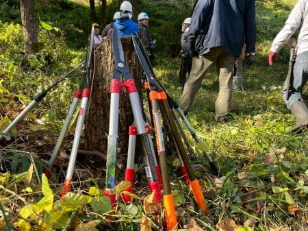 刃を上にして立てかけた刈り込みハサミ