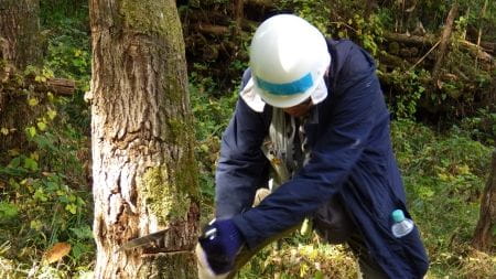 体全体でノコギリを引く参加者