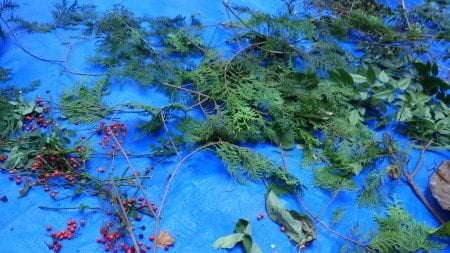 クリスマスリースの材料