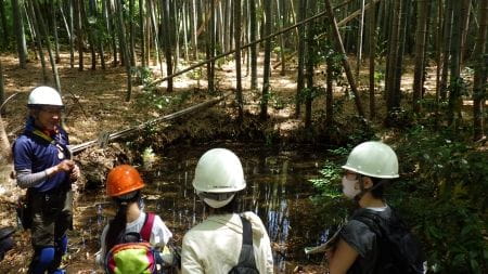 ウォーキングしながら自然観察