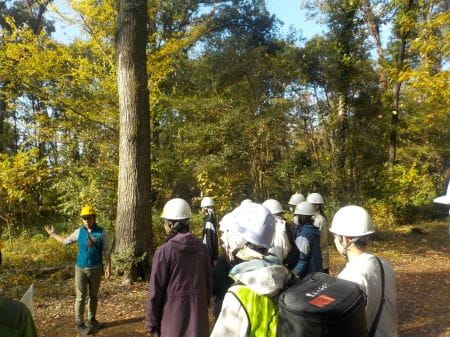 保全地域内の散策