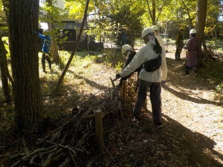 協力して枝を集めていく様子