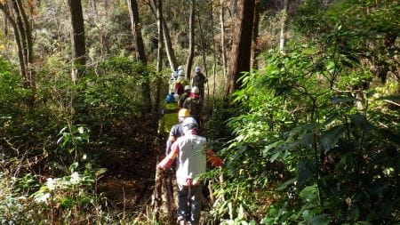 自然観察へ出発