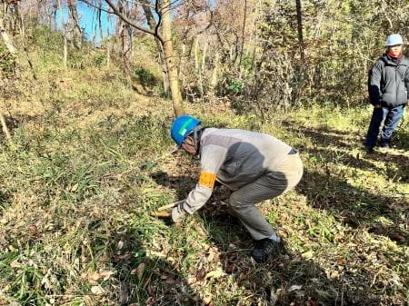 体勢を低くして下草刈り