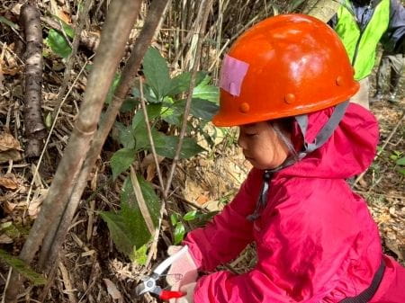 真剣な表情で笹刈りする子ども