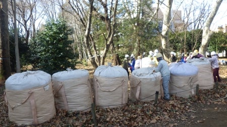 トン袋がずらりと並んだ風景