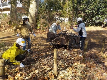 リヤカーに落ち葉を乗せる様子