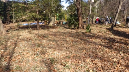 きれいに整備された保全地域