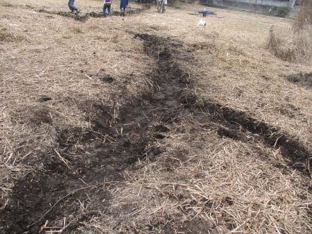 出来上がった水路の様子