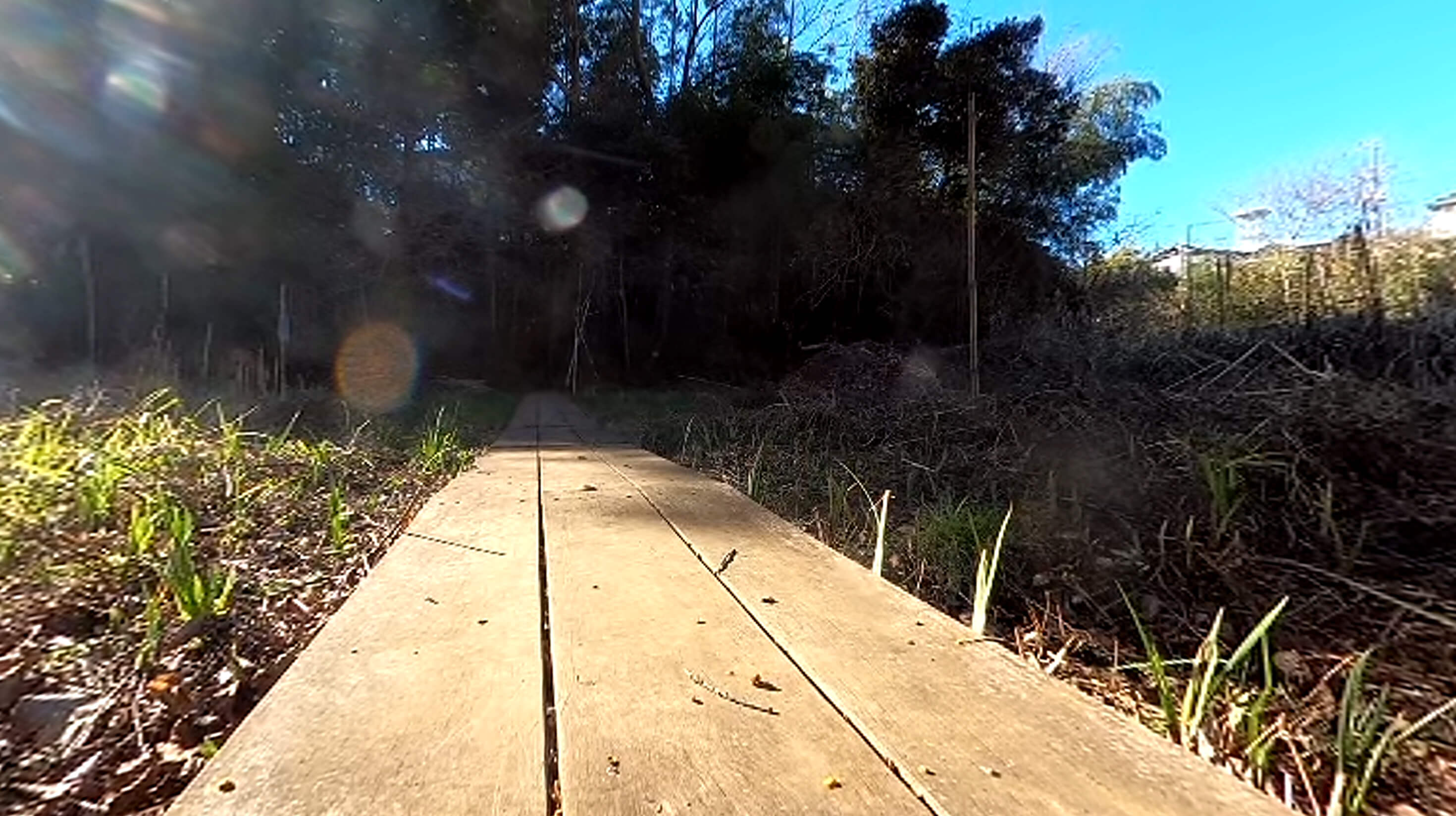 連光寺若葉台里山保全地域