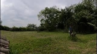 八王子滝山里山保全地域