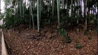 谷保の城山歴史環境保全地域