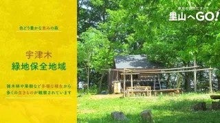 保全地域ってどんなところ？＠宇津木緑地保全地域