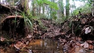 宝生寺緑地保全地域