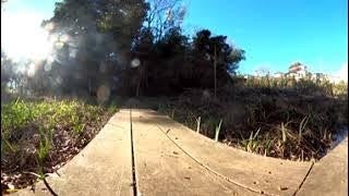 連光寺若葉台里山保全地域