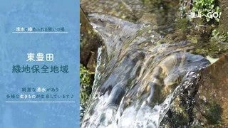 保全地域ってどんなところ？＠東豊田緑地緑地保全地域